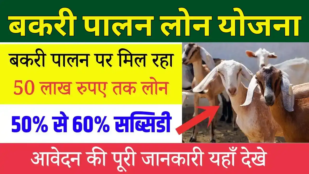 Bakri Palan Loan Yojana